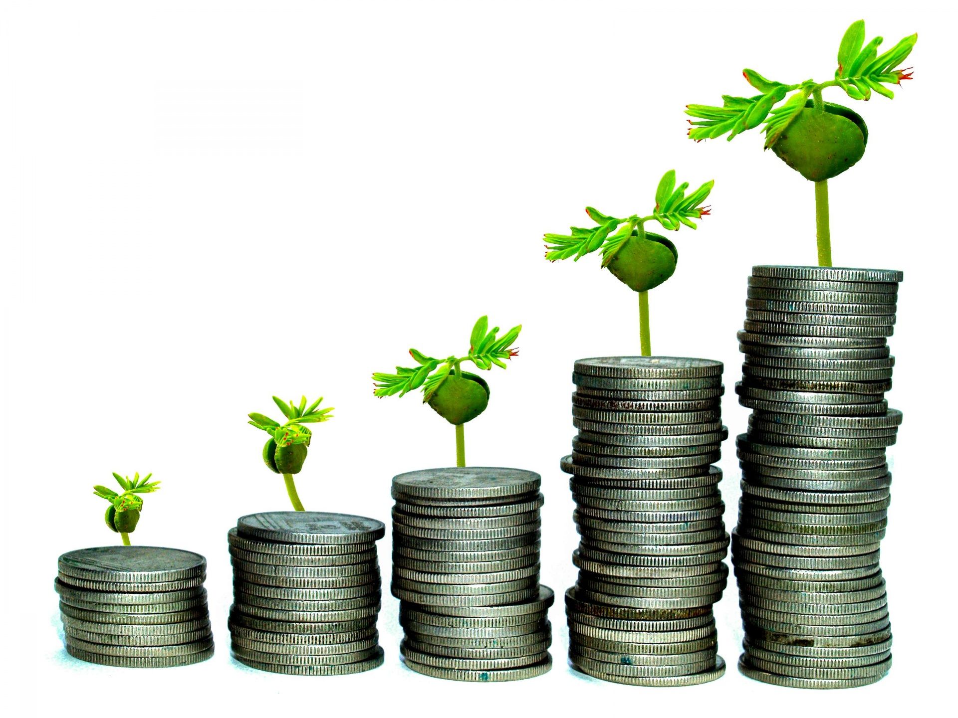 Stacked coins beside a growing plant